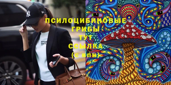 дурь Аркадак