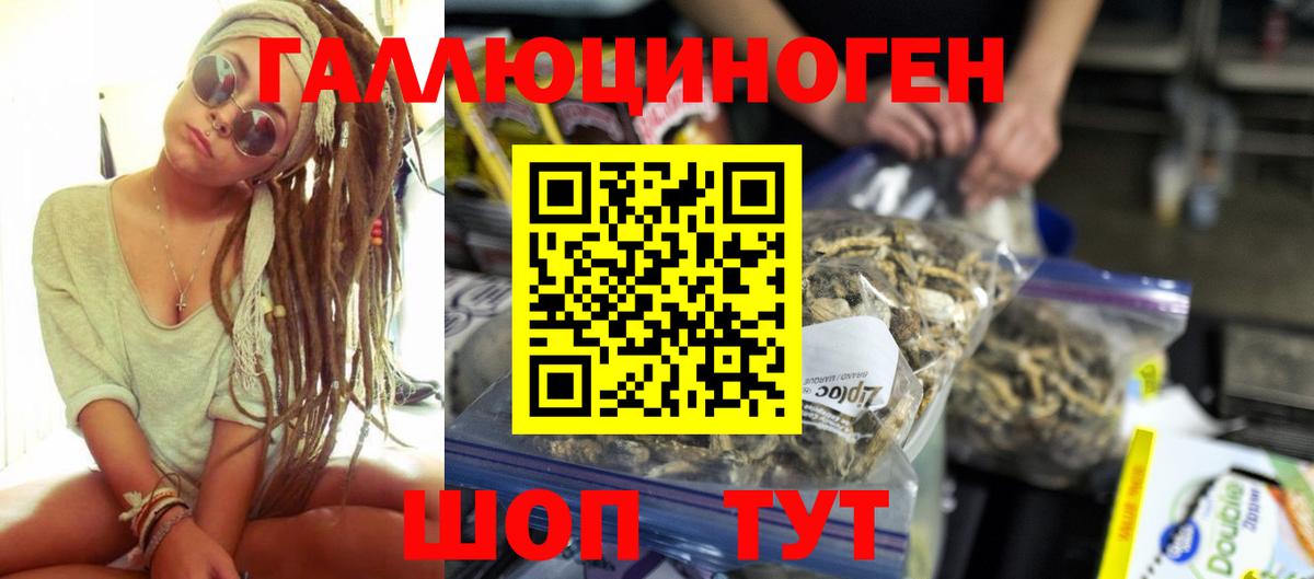 Галлюциногенные грибы прущие грибы Одинцово