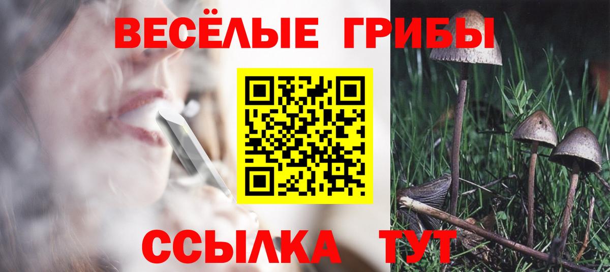 Одинцово  Псилоцибиновые грибы прущие грибы  Вход с VPN 